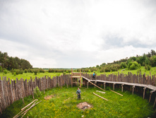  DSC8342.jpg