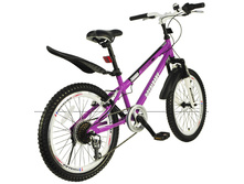 Freestyle-20-6-Speed-Steel-Purple.jpg