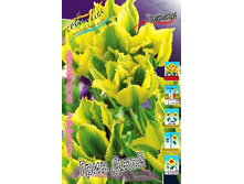 30,67���. ������� ���� ����(��� 10 ��. ���������� ������ 5��.).jpg