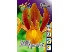 14,75���. ���� ����. ����� ��������(���������� ������ ������ ���������� �� 10 ��.).jpg