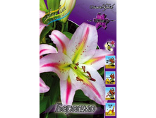 28,1���. ����� �������(��� 7 ��. ���������� ������ 3 ��� 4 ��.).jpg