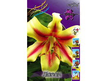 31,7���. ����� �����(��� 7 ��. ���������� ������ 3 ��� 4 ��.).jpg