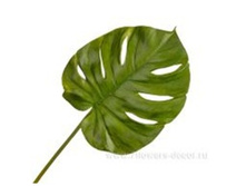 4606500502233 ����� ������������� �����������, 74�� 120 748,65.jpg