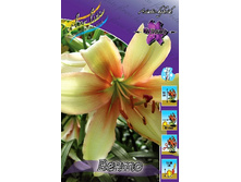 28,9���. ����� �����(��� 5 ��. ���������� ������ 2 ��� 3 ��.).jpg