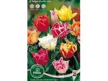 ������� ������� �����.jpg