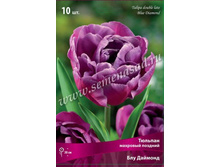 ������� ��� �������.jpg