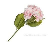 4606500502455 ������ ������������� ���������, 48�� 144 324,3.jpg