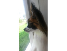 ���� ������ 2015