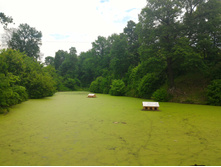 P 20160528 103204.jpg