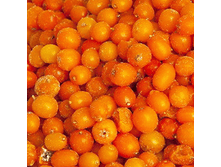 ������������ �������� 1 ����  ���� 1 �� - 180,00