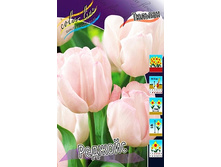 16,06���. ������� �������(��� 10 ��. ���������� ������ 5��.).jpg