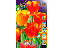 18,5���. ������� �����(��� 10 ��. ���������� ������ 5��.).jpg