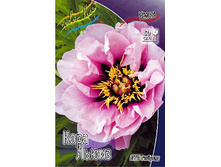 1450���. ���� ���� ����� (���)(�������� ���� �� 1 ��., ����������� ����� 1��.).jpg