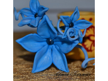 ������� ��� ����� ������� �����