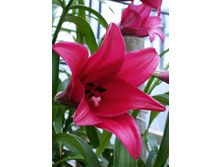 41,5���. ����� ������(�������� ���� �� 5 ��., ����������� ����� 1��.)���15.jpg