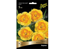 ������� ������.jpg