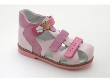 4484.������� ORTO.jpg