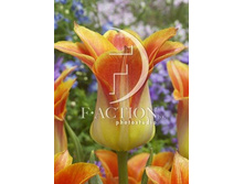 30,03���. ������� �� �'���(��� 7 ��. ���������� ������ 3 ��� 4 ��.)���16.jpg