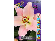 42,4���. ����� �����(�������� ���� �� 5 ��., ����������� ����� 1��.).jpg