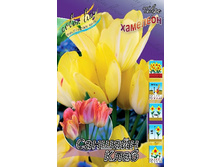 23,18���. ������� ������� ����(��� 10 ��. ���������� ������ 5��.).jpg