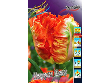 20,37���. ������� ������ ����(��� 10 ��. ���������� ������ 5��.).jpg