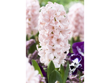 22,94���. ������� ���� �������(��� 5 ��. ���������� ������ 2 ��� 3 ��.).jpg