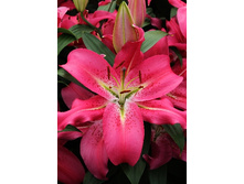 30,26���. ����� �������(��� 7 ��. ���������� ������ 3 ��� 4 ��.)���15.jpg