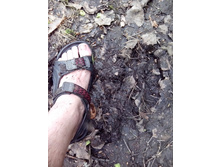 IMG 20160522 142058.jpg