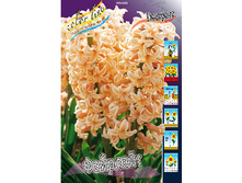 24,82���. ������� ��������(��� 5 ��. ���������� ������ 2 ��� 3 ��.)���15.jpg