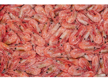 �������� Polar ������-��������� 70-90-1.jpg