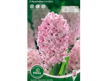 ������� �������.jpg