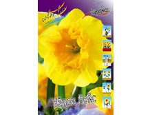 24,11���. ������� ���� ����(��� 10 ��. ���������� ������ 5��.).jpg