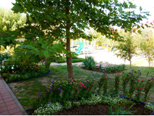 ��������� ����, ��������, ������-��������, 2015 ���