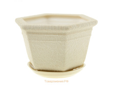 ������ ������ ���� ���