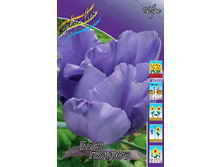 20,37���. ������� ��� ������(��� 10 ��. ���������� ������ 5��.).jpg