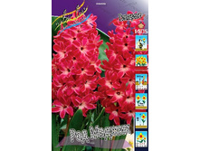 30,44���. ������� ��� ������(��� 5 ��. ���������� ������ 2 ��� 3 ��.).jpg