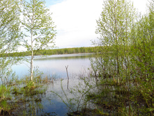 IMG 20160507 143831.jpg