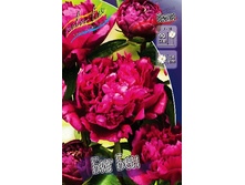 250,7���. ���� ��� ���(�������� ���� �� 1 ��., ����������� ����� 1��.).jpg