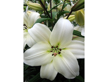 18,2���. ����� �����(��� 7 ��. ���������� ������ 3 ��� 4 ��.).jpg