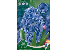 ������� ���.jpg