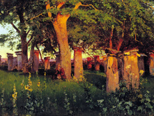 ������� ��������.jpg