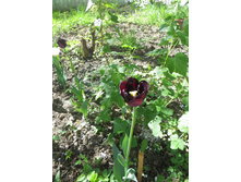 �����. ������ �����. �� ���������!