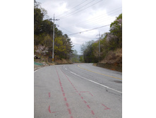DSCN0559.JPG