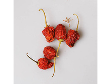 ������� ������ ���� � �������� 5 ���� 50�.jpg