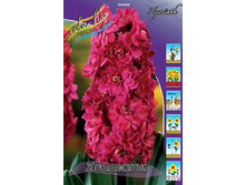 69,78���. ������� ��������(�������� ���� �� 5 ��., ����������� ����� 1��.).jpg