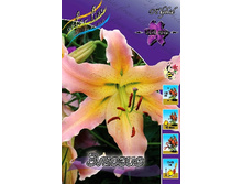 42,49���. ����� ������(�������� ���� �� 7 ��., ����������� ����� 1��.).jpg