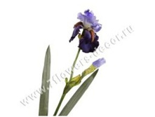 3760169245649 ������ ������������� ����, 70�� 72 483.jpg