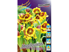 30,03���. ����������� �����������(��� 7 ��. ���������� ������ 3 ��� 4 ��.).jpg