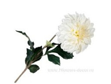 3661864013031 ������ ������������� ��������, 71�� 120 266,8.jpg