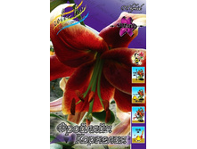 44���. ����� �������� ��������(�������� ���� �� 4 ��., ����������� ����� 1��.).jpg